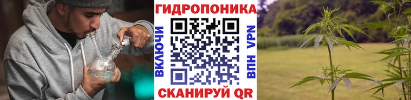 Марихуана гибрид  магазин    Пятигорск 